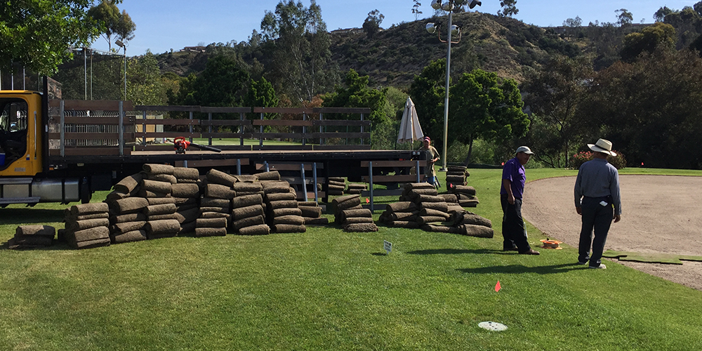 Sod Truck Torrey Pines
