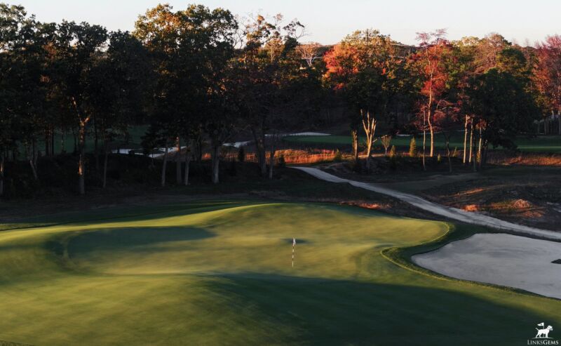 Image for the Tweet beginning: A few of the fascinating