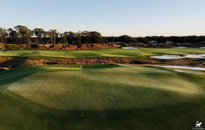 Image for the Tweet beginning: A few of the fascinating