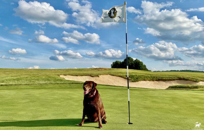 Image for the Tweet beginning: Thinking back on some fond