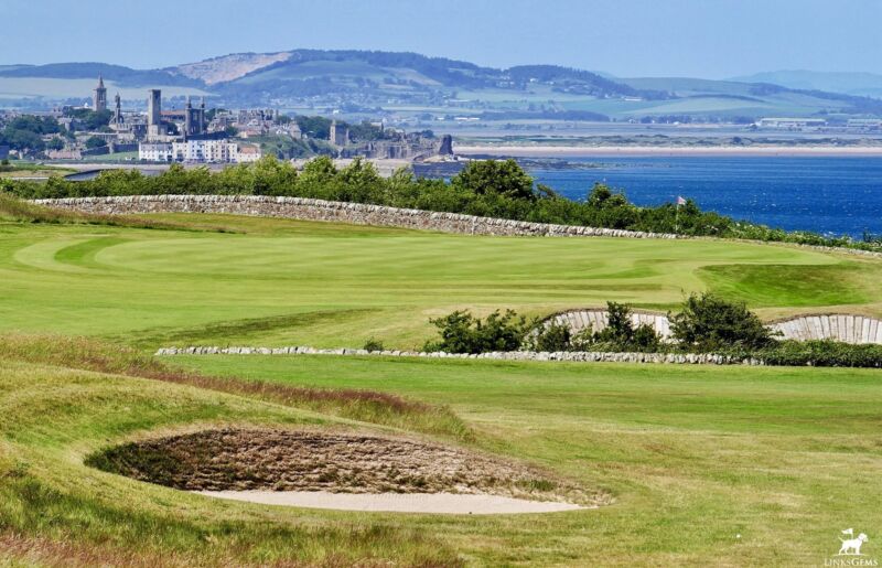 Image for the Tweet beginning: A follower of exceptional taste