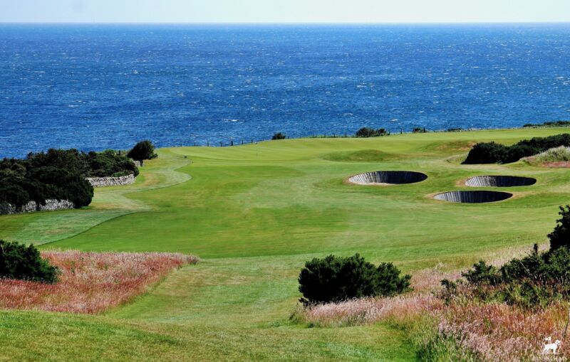 Image for the Tweet beginning: A follower of exceptional taste