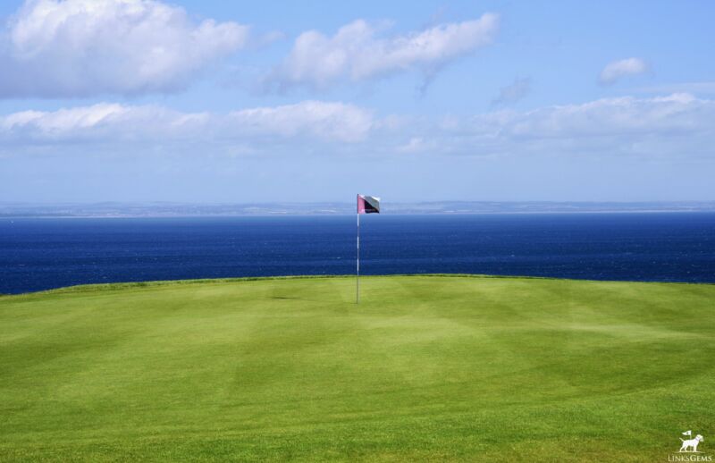 Image for the Tweet beginning: A follower of exceptional taste